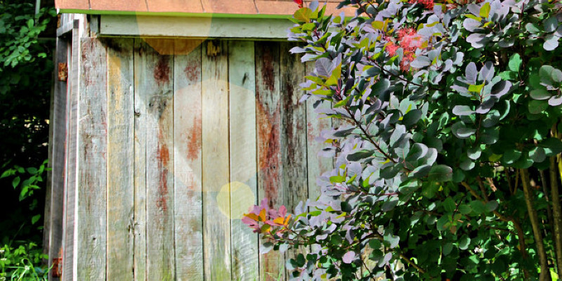 Bohemian Cottage and Vegetable Garden