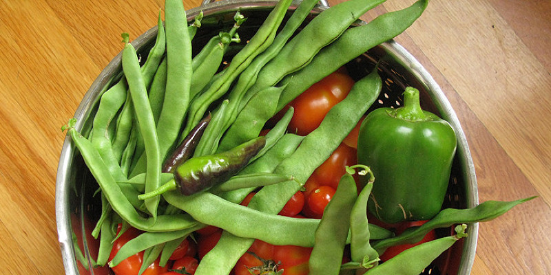 Are the Stalks or Stems of Ruby Red Swiss Chard Poisonous?